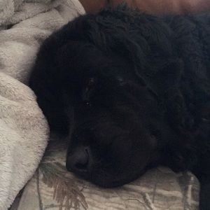 Meet your Posher, Marlene